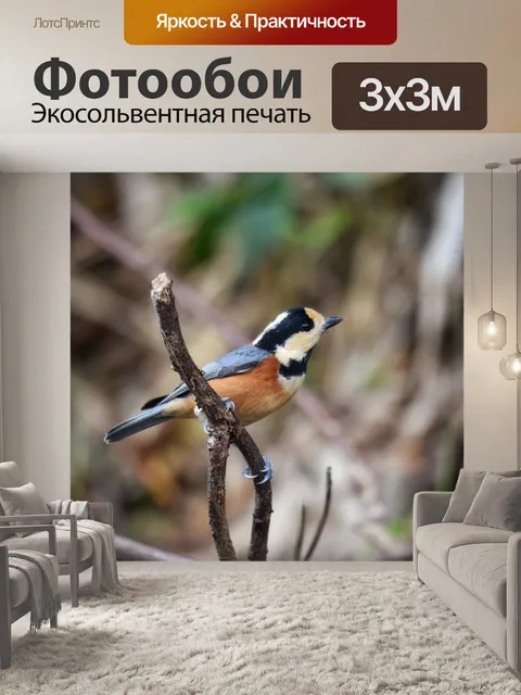 Фотообои Животное