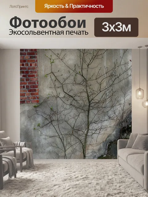 Фотообои Стена