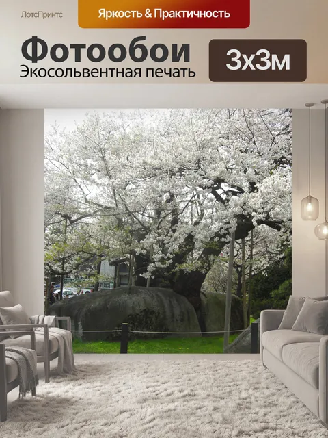Фотообои Сакура Японии