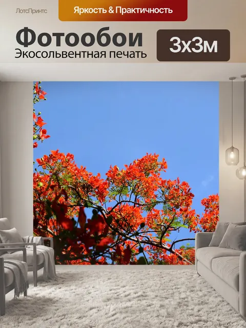 Фотообои Цветы