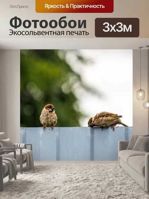 Фотообои Птицы