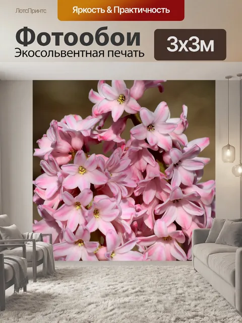 Фотообои Розовые гиацинтовые лепестки