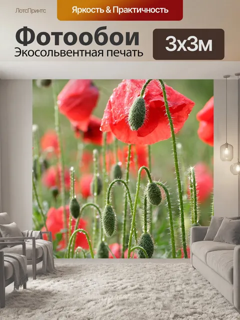 Фотообои Цветы