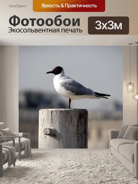 Фотообои Птица