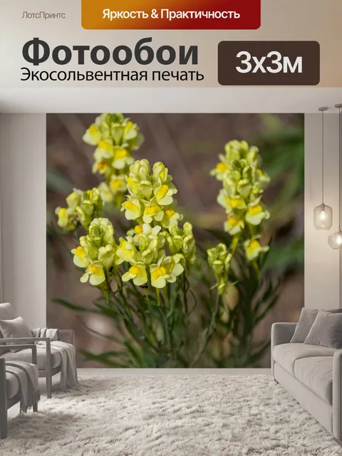 Фотообои Желтые полевые цветы