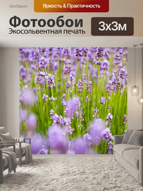 Фотообои Лаванда