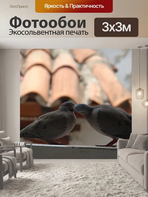 Фотообои Птицы