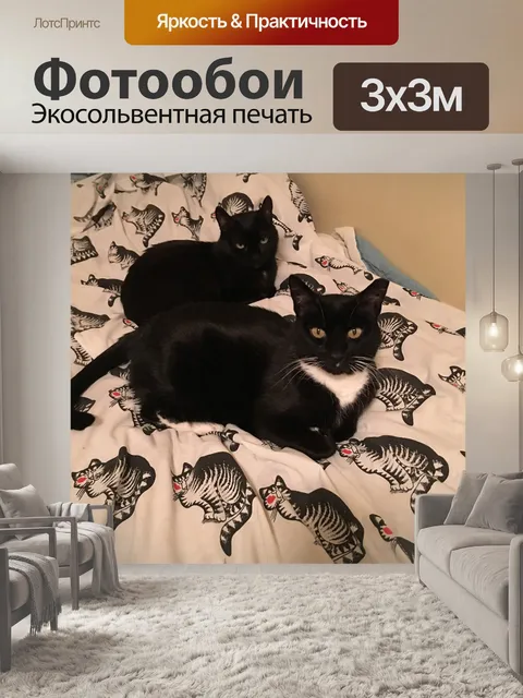 Фотообои Кошки коты