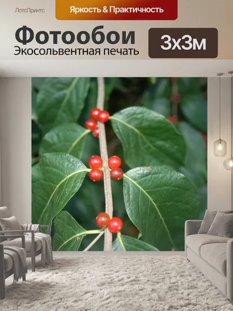 Фотообои Ягоды