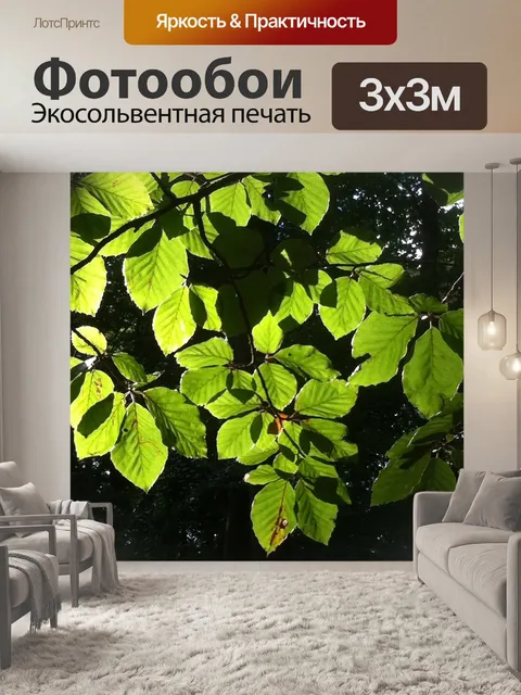 Фотообои Листья