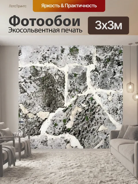Фотообои Ракушечник