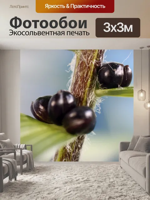 Фотообои Лили фрукты