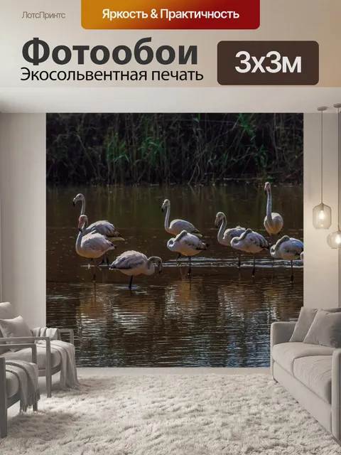 Фотообои Фламинго