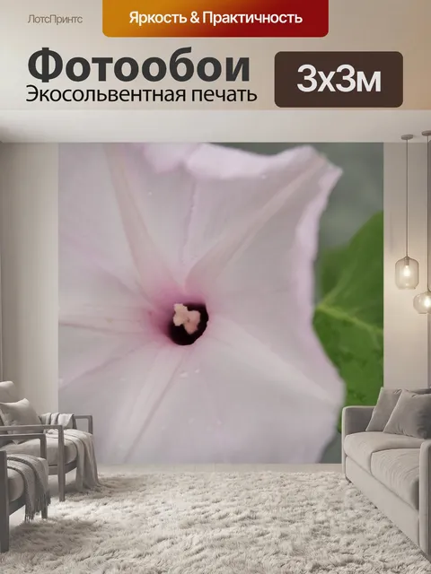 Фотообои светло-розовый цветок