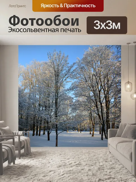 Фотообои Зима