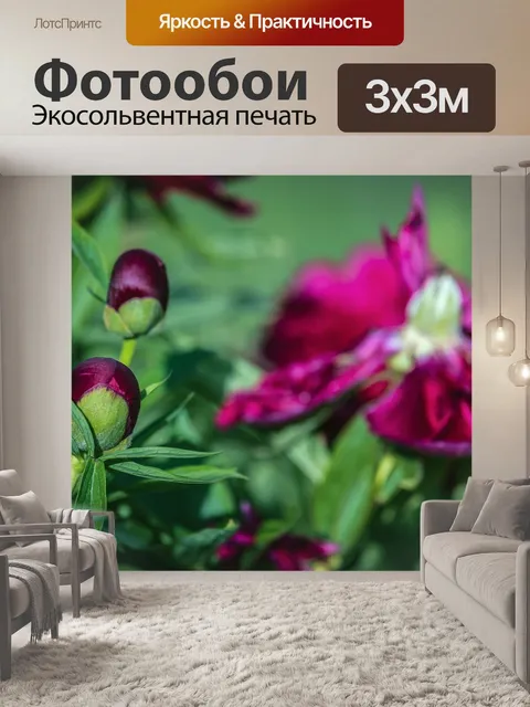 Фотообои Пионы