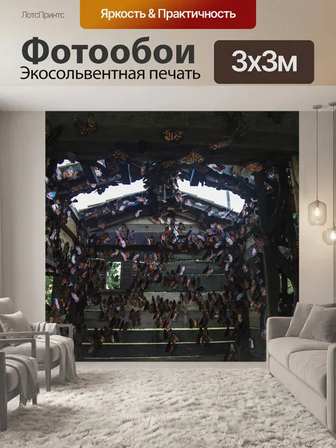 Фотообои Бабочки