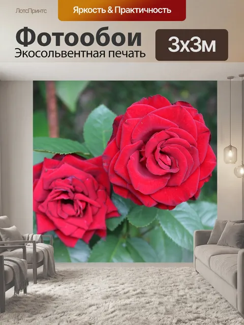 Фотообои Розы