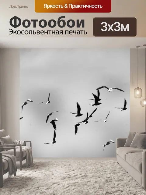 Фотообои Черно-белые чайки летают