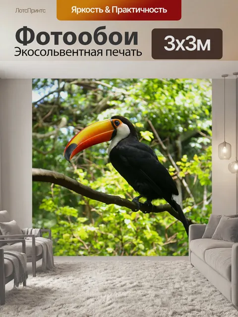 Фотообои Тукан