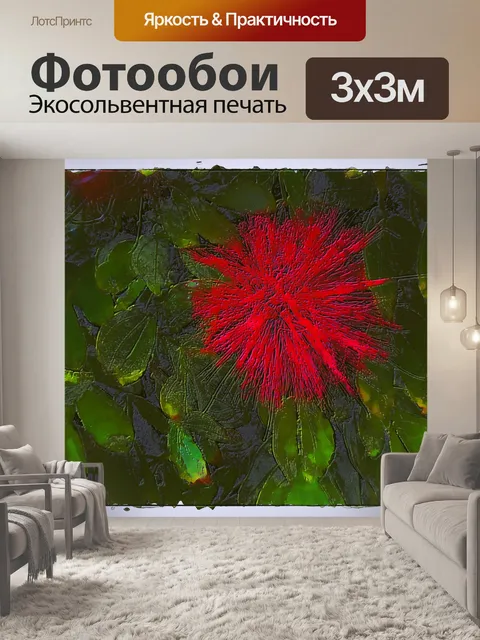 Фотообои красный цветок