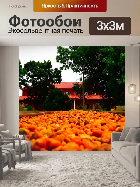 Фотообои Маленькие камни