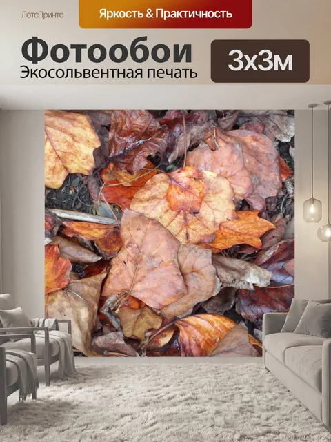 Фотообои Сухие осенние листья