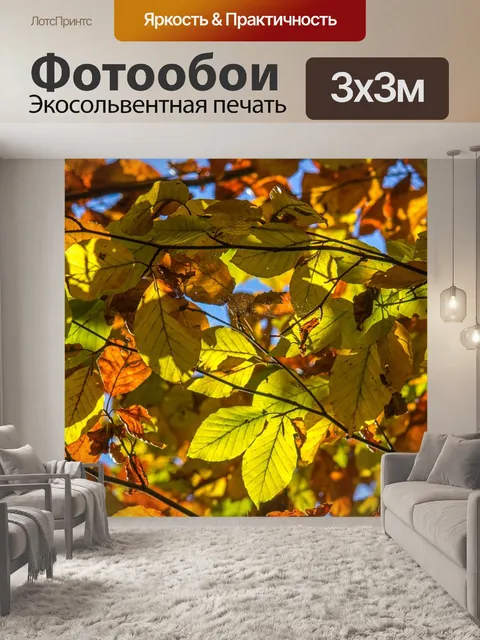 Фотообои Листья