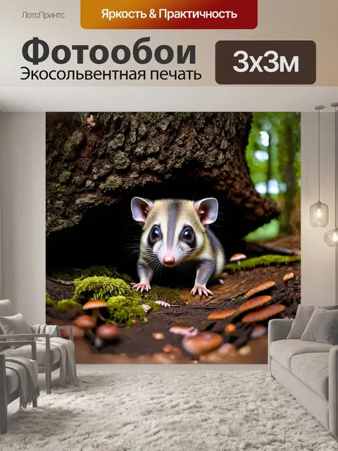 Фотообои молодой опоссум прячется под массивным корнем дерева