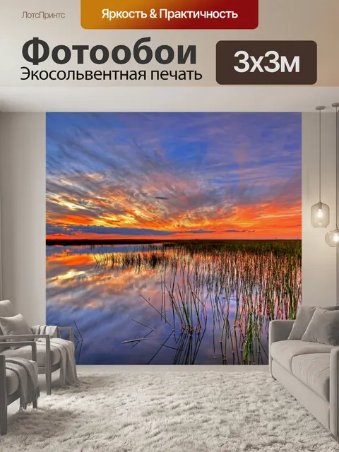 Фотообои Красочный Эверглейдс Закат