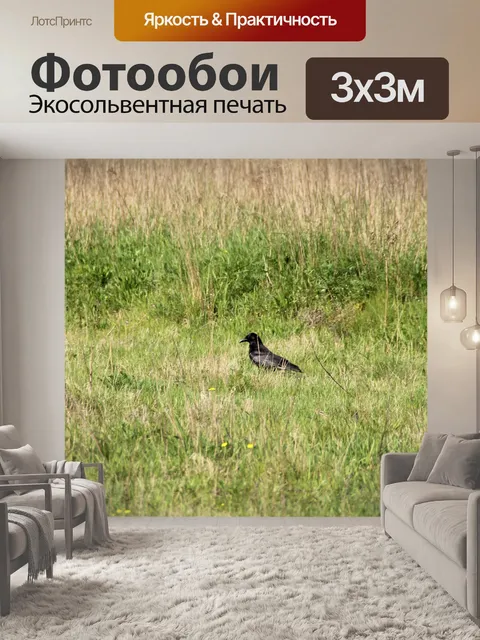 Фотообои Фон
