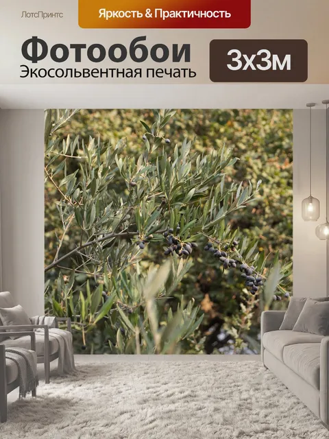 Фотообои Оливка