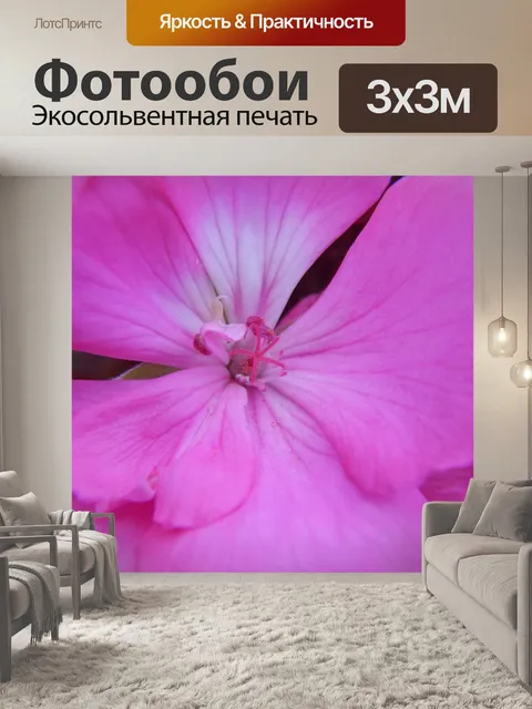 Фотообои Цветок