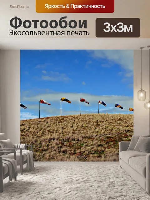 Фотообои Windsocks на холме