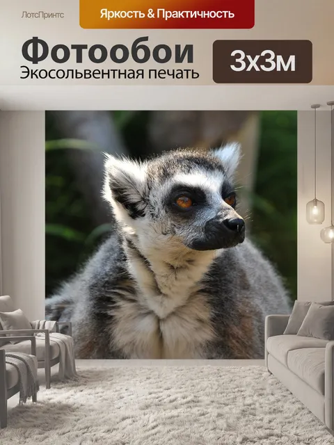Фотообои Животное