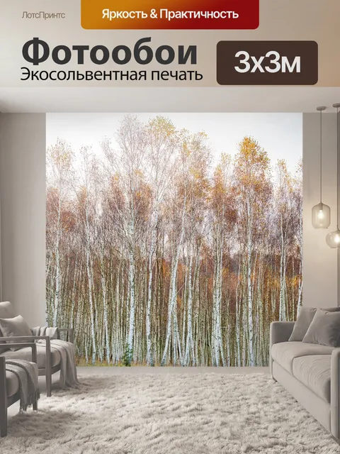 Фотообои Лес