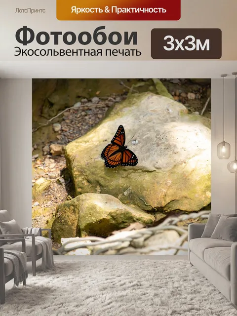 Фотообои Бабочка