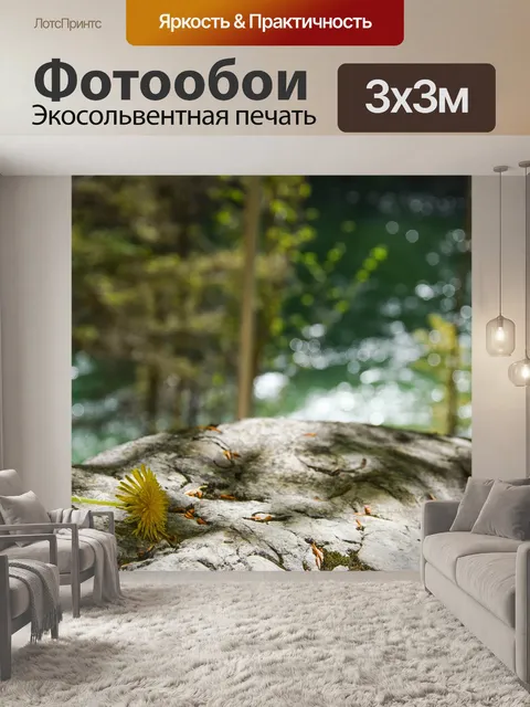 Фотообои Одуванчик