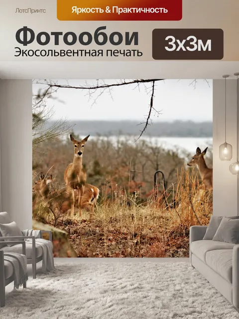 Фотообои Белохвостый олень на озере