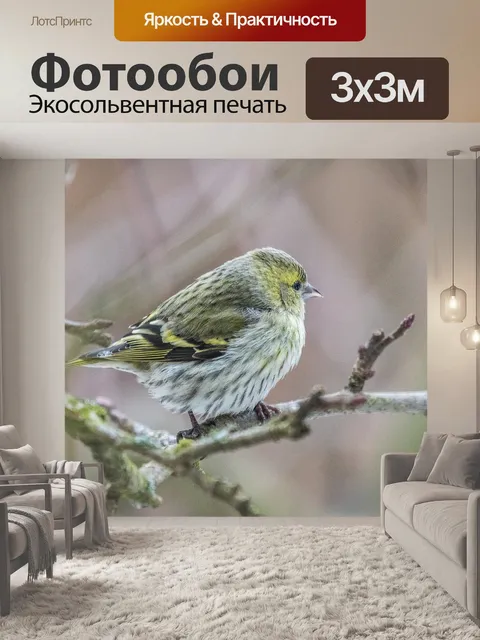 Фотообои Птица