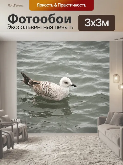 Фотообои Птица, плавающая на воде