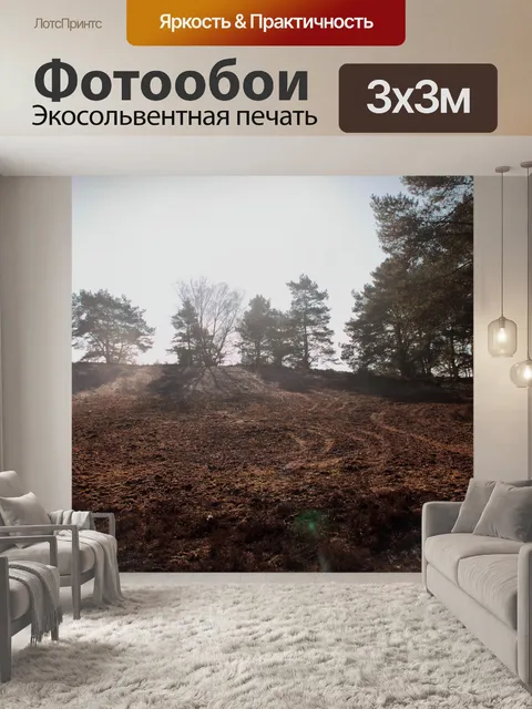 Фотообои Фон