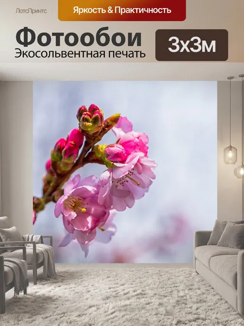 Фотообои Вишня в цвету