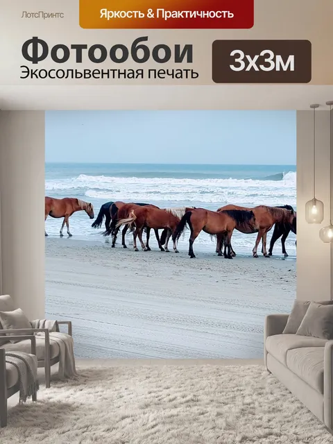 Фотообои Лошадь