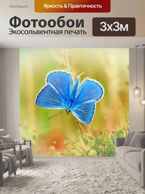 Фотообои Голубая бабочка