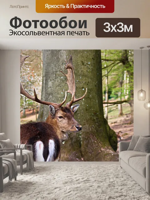 Фотообои Хирш