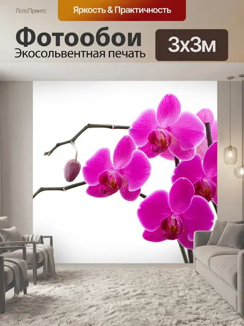 Фотообои Орхидея