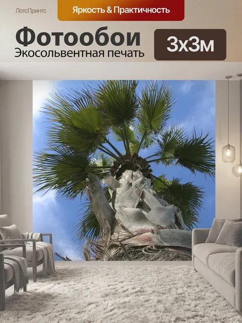 Фотообои Пальма