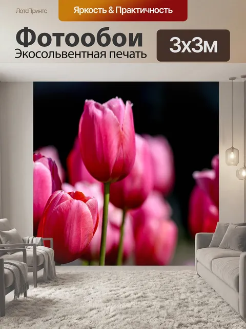 Фотообои Тюльпаны