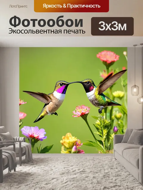 Фотообои пара колибри, населяющих цветущий луг